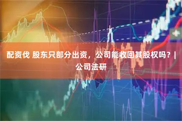 配资伐 股东只部分出资,公司能收回其股权吗?|公司法研