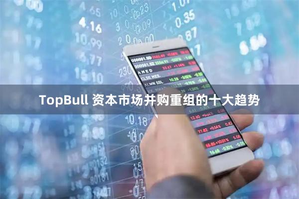 TopBull 资本市场并购重组的十大趋势